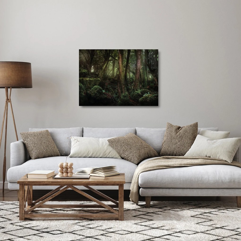 Obraz na szkle - Tajemniczy las (70x50 cm)