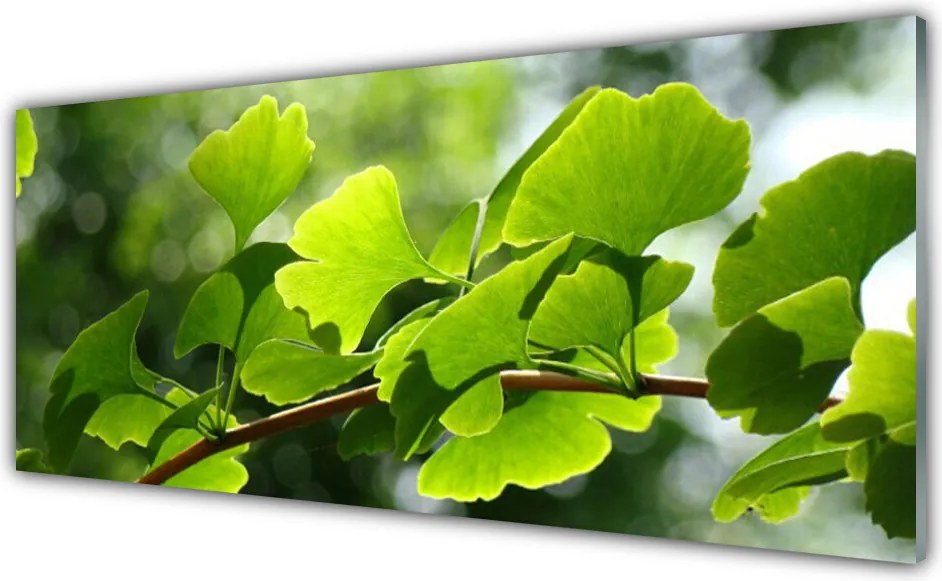 Panel Szklany Zielone Liście na Gałęzi