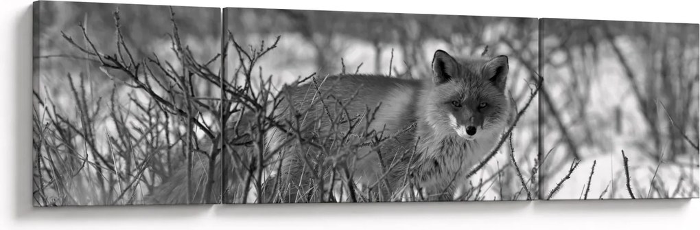 Obraz - Lis w zimie (170x50 cm)