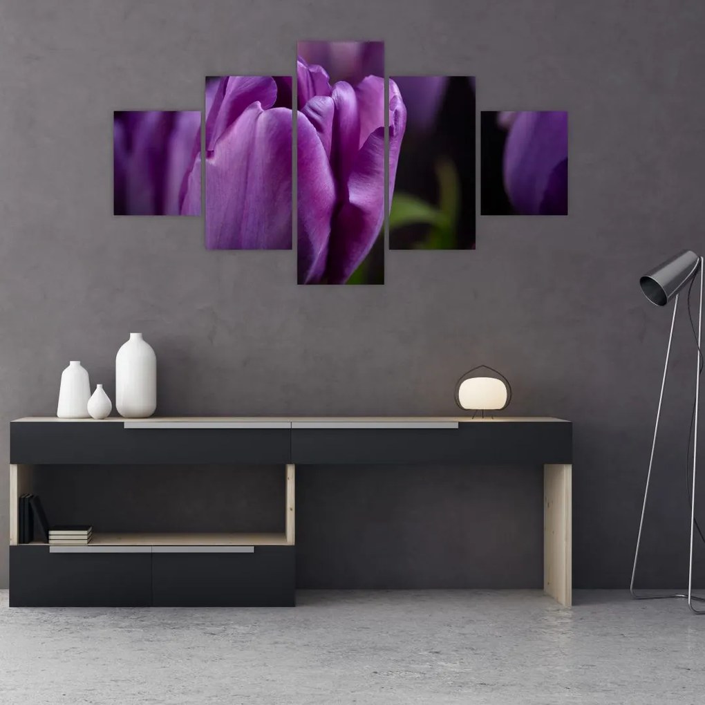 Obraz kwiatów tulipanów (125x70 cm)