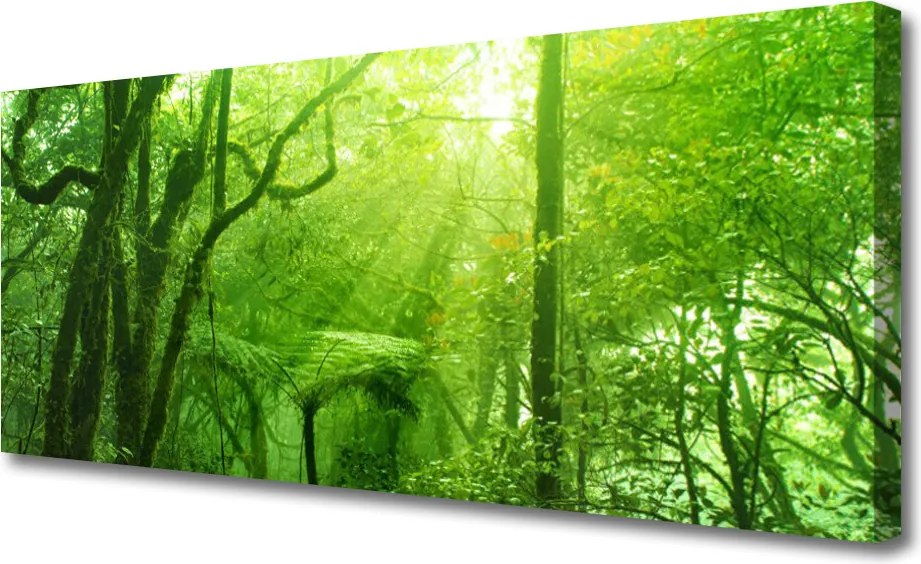 Obraz drukowany na płótnie Las w Letnim Słońcu