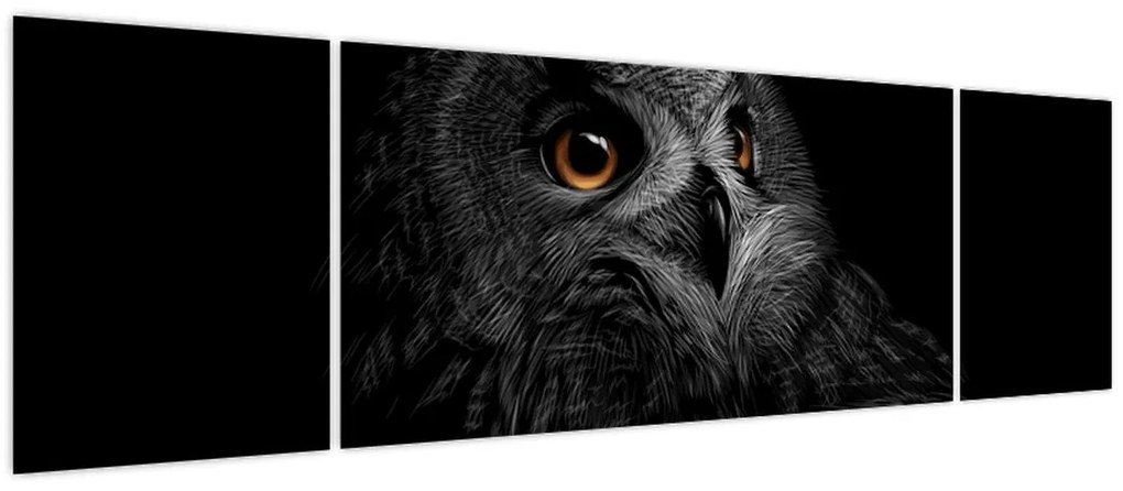 Obraz - Sowa, ilustracja (170x50 cm)