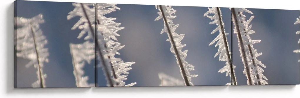Obraz - Dziadek Mróz (170x50 cm)