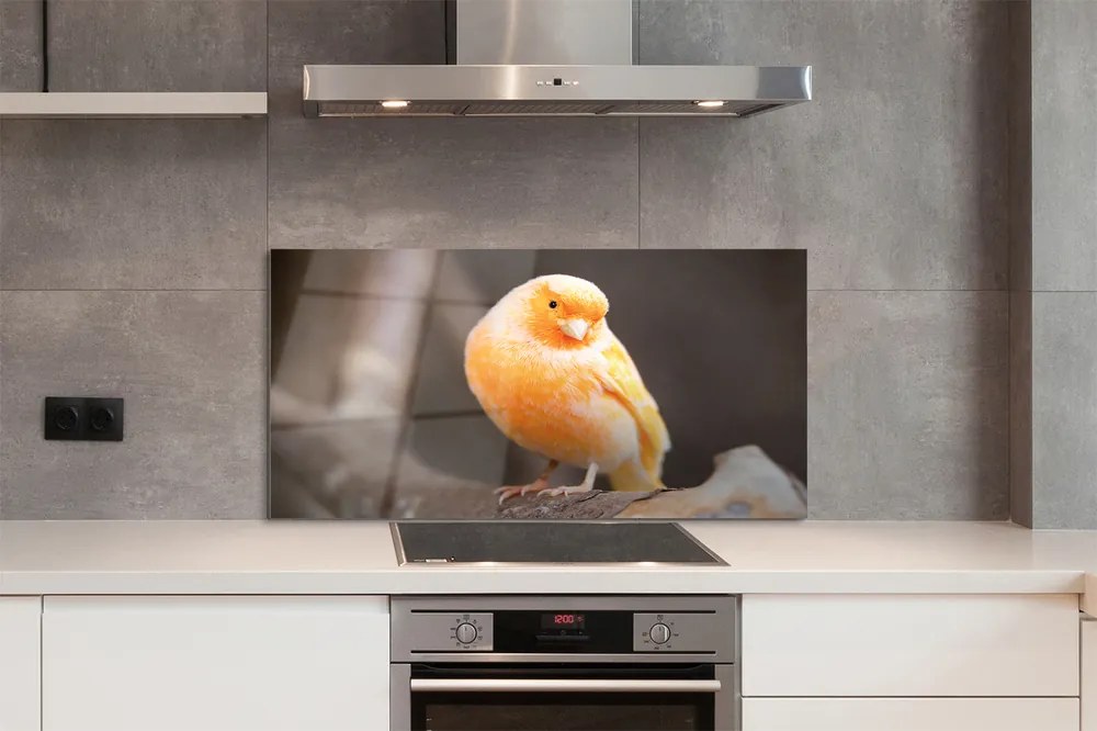 Panel szklany do Kuchni Papuga na Suchej Gałęzi