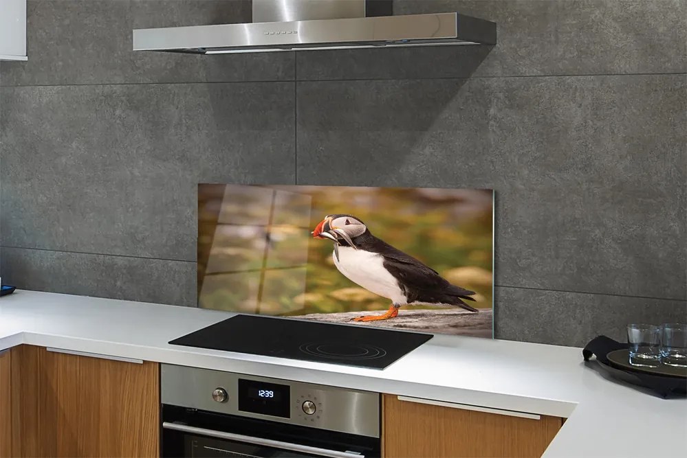 Panel Kuchenny Szklany Portret Barwnej Papugi