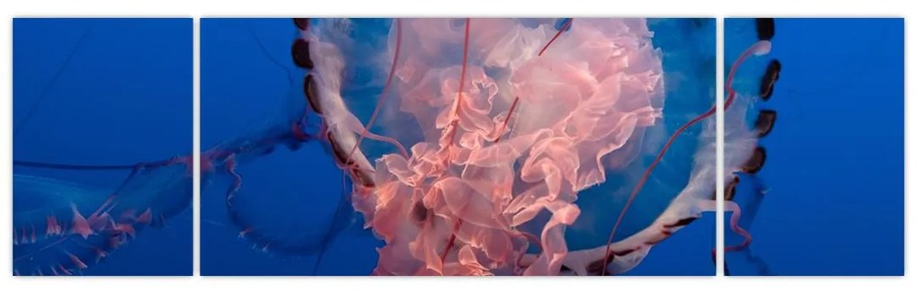 Obraz meduzy (170x50 cm)
