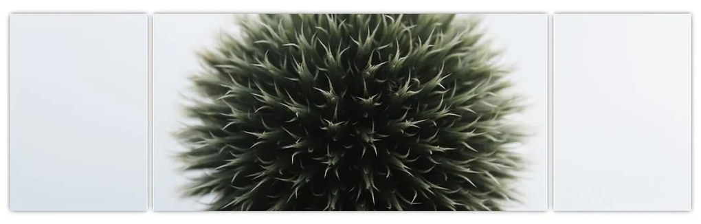 Obraz kuli kwiatowej (170x50 cm)