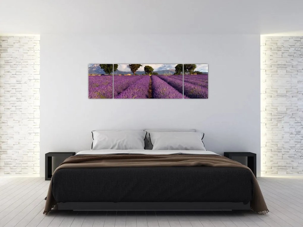 Obraz - Pole lawendy i góry (170x50 cm)