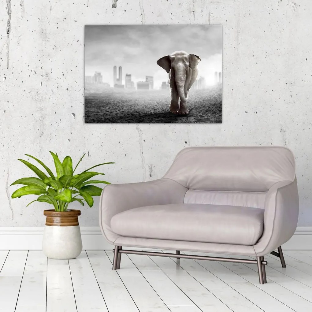 Obraz - Słonie w wielkim mieście, wersja czarno - biała (70x50 cm)