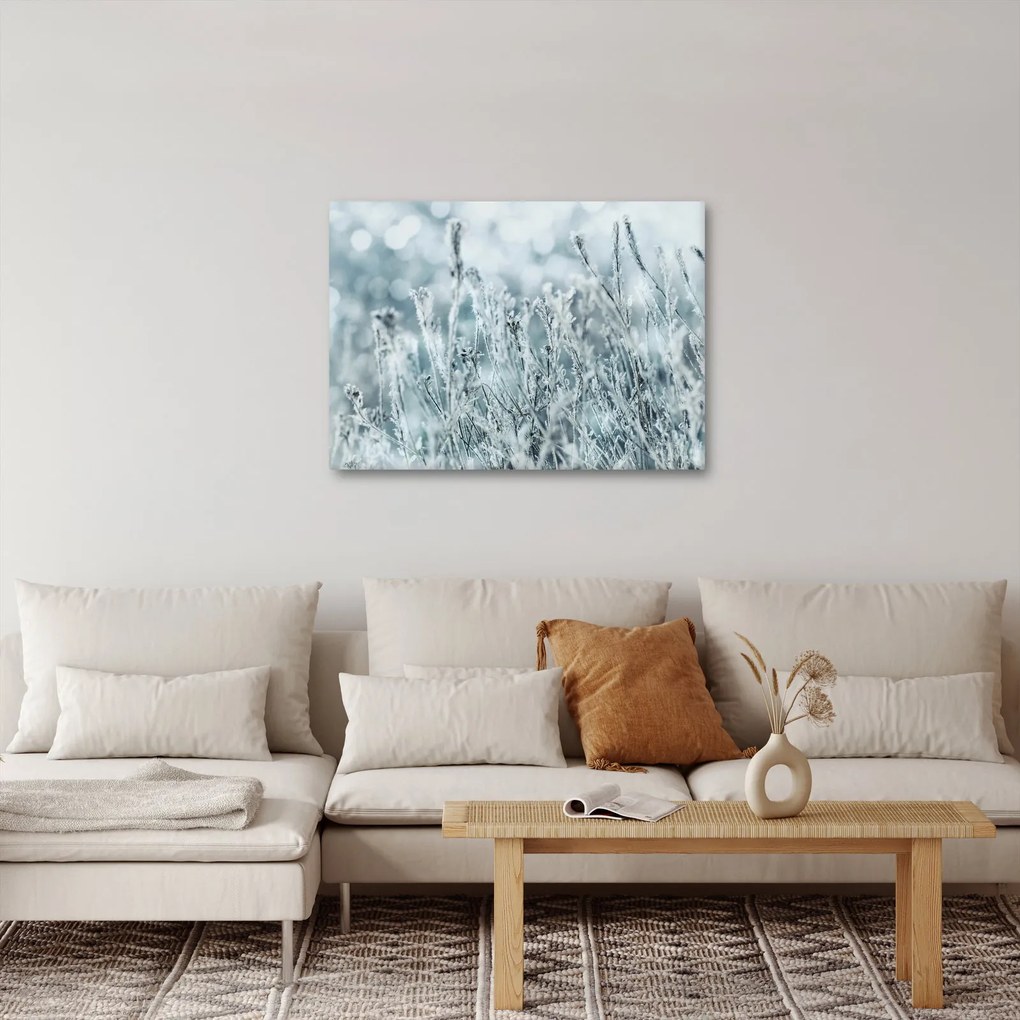 Obraz - Magia zimy (70x50 cm)