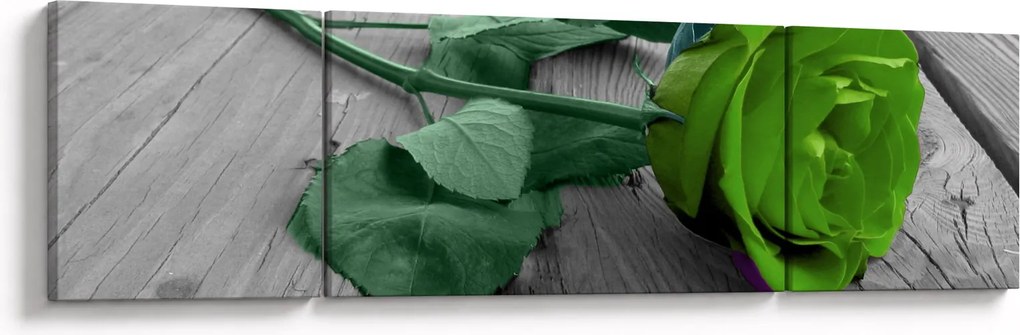 Obraz - Zielona róża (170x50 cm)