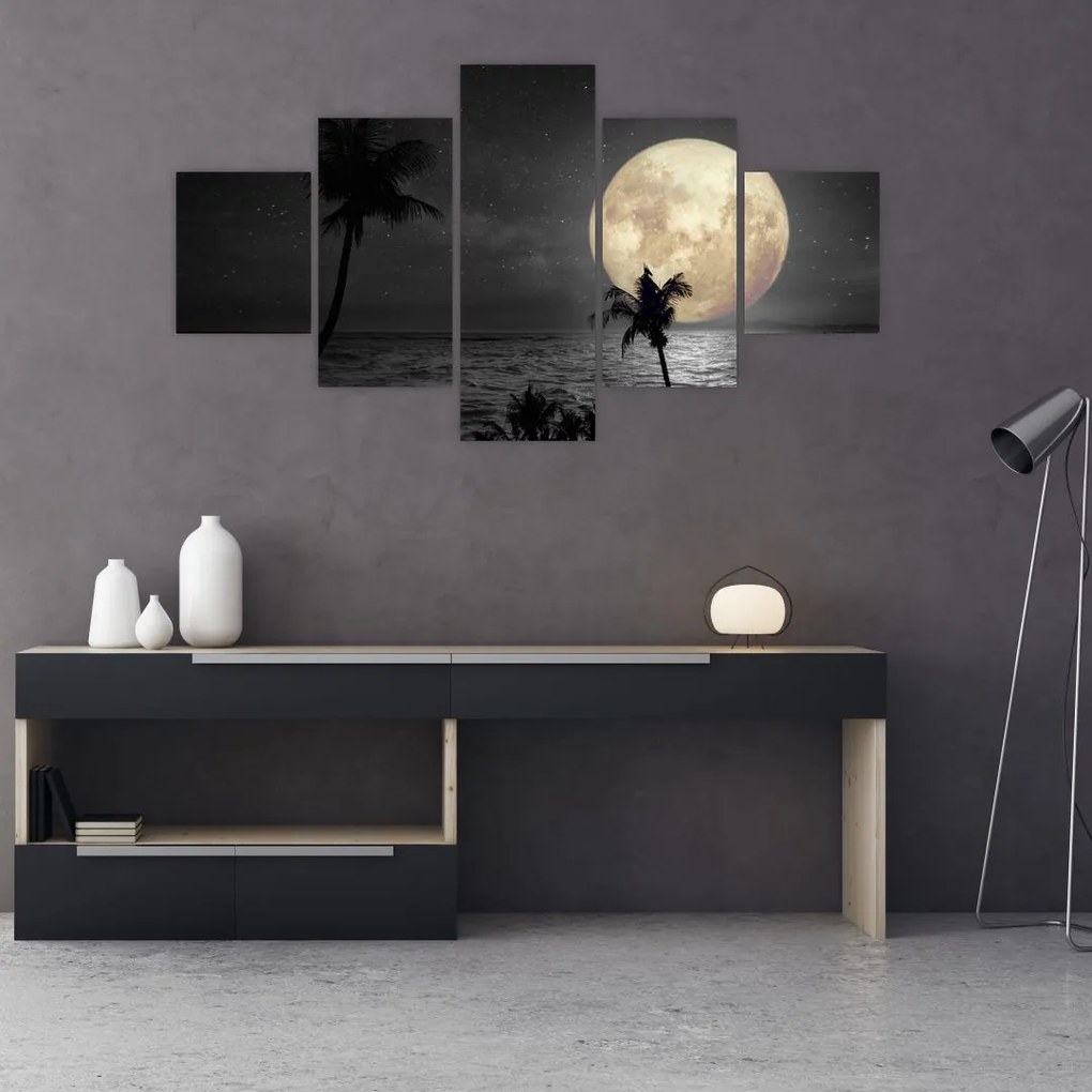 Obraz - Plaża pod pełnią księżyca w odcieniach szarości (125x70 cm)