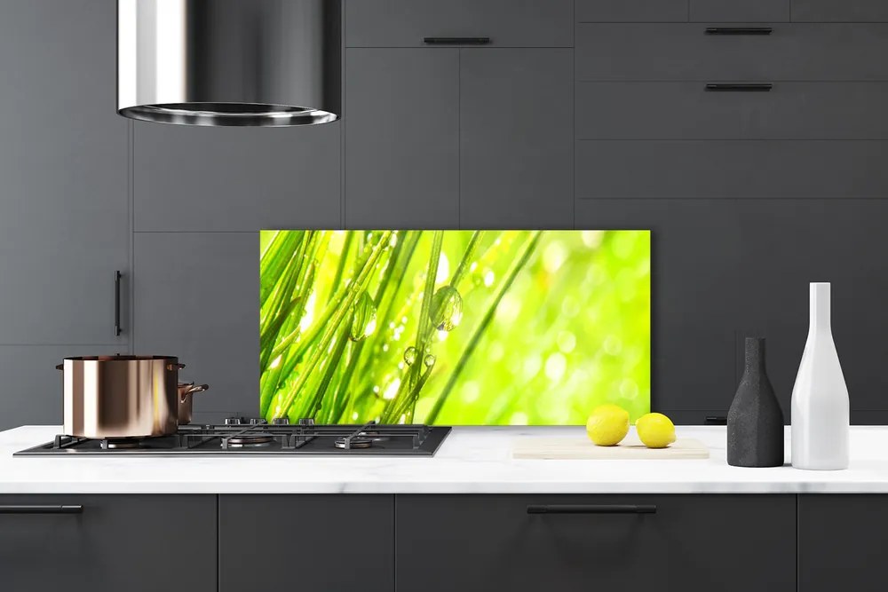 Panel Szklany Natura Krople Trawa