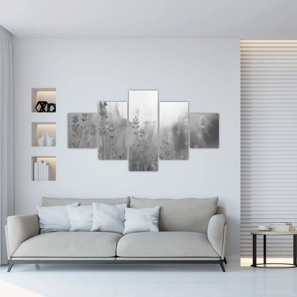 Obraz - Lawenda (125x70 cm)