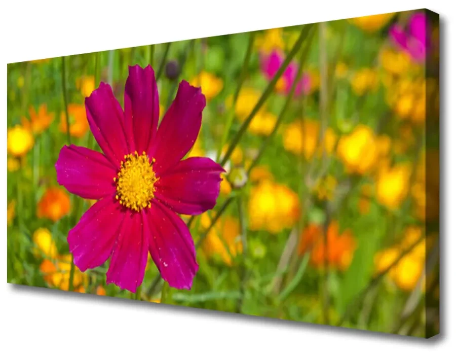 Obraz Canvas Kwiat Roślina Natura