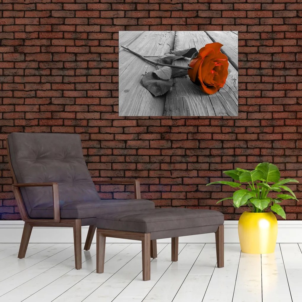 Obraz na szkle - Pomarańczowa róża (70x50 cm)