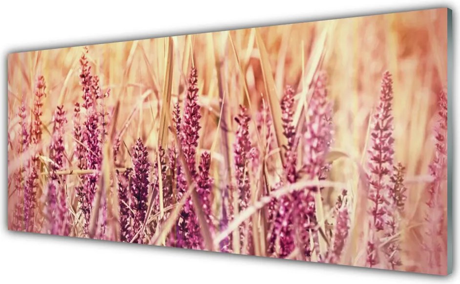 Panel Szklany do Kuchni Złociste Łany Pszenicy