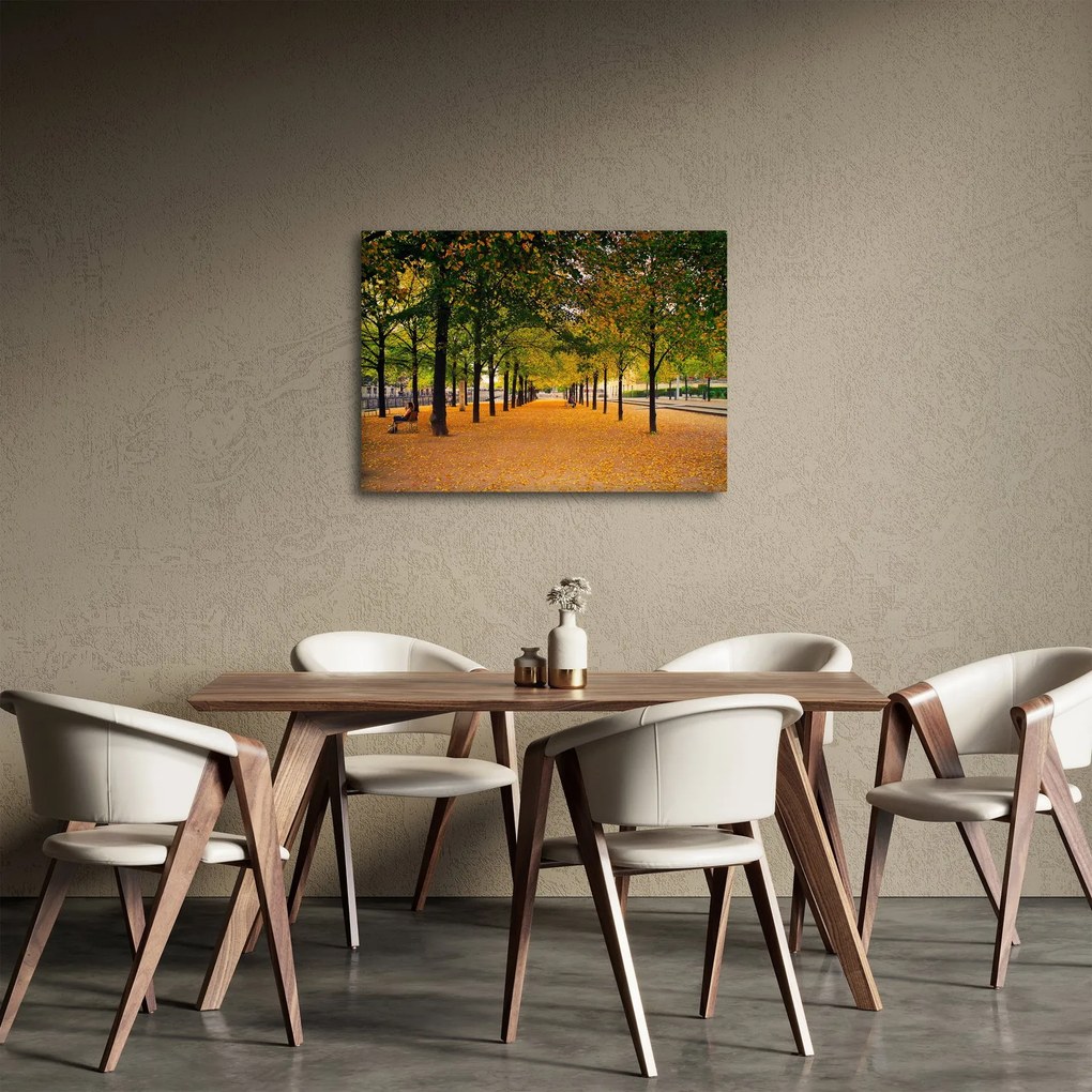Obraz alei jesiennych drzew (70x50 cm)