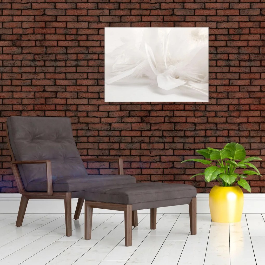 Obraz - Pióro (70x50 cm)