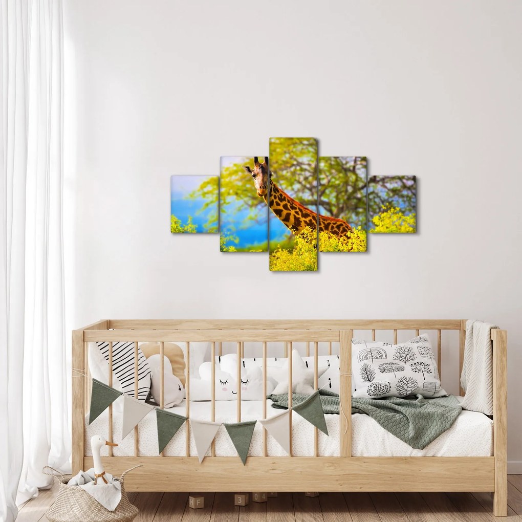 Obraz żyrafy w Afryce (125x70 cm)