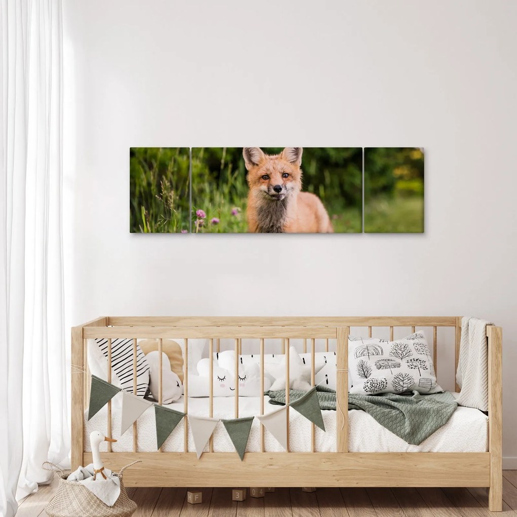 Obraz lisa (170x50 cm)