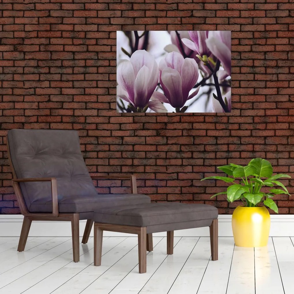 Obraz - Magnolia (70x50 cm)