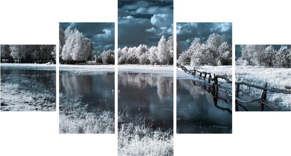 Obraz - Zamarznięty krajobraz (125x70 cm)
