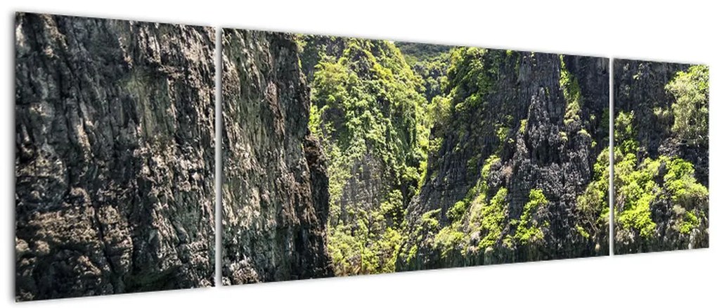 Obraz górskiej rzeki (170x50 cm)
