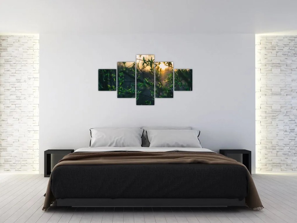 Obraz słońca przeświecającego przez gałęzie drzew (125x70 cm)