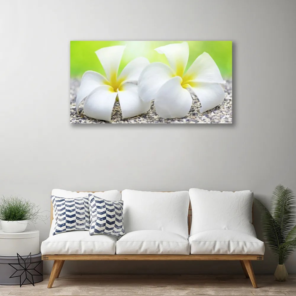 Obraz na płótnie Romantyczna Flora Ogrodowa