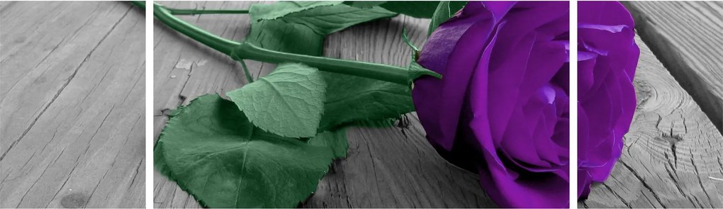 Obraz - Fioletowa róża z zieloną łodygą (170x50 cm)