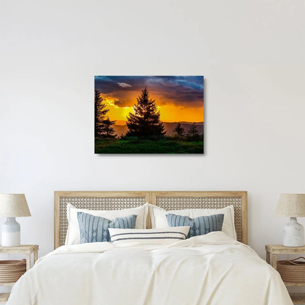 Obraz na szkle - drzewa iglaste (70x50 cm)