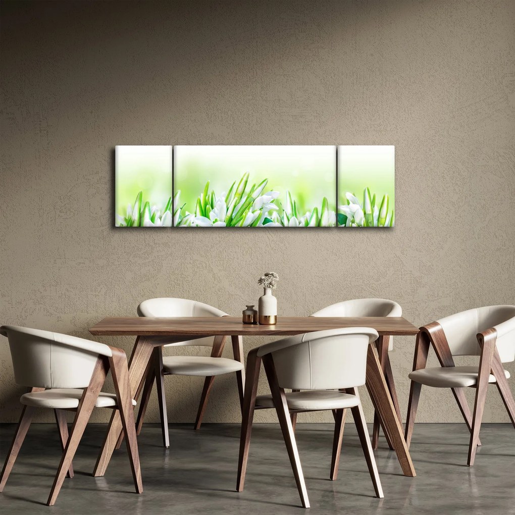 Obraz - Przebiśniegi (170x50 cm)
