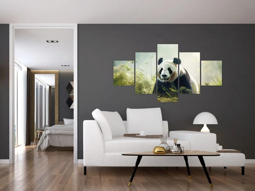 Obraz - Panda (125x70 cm)