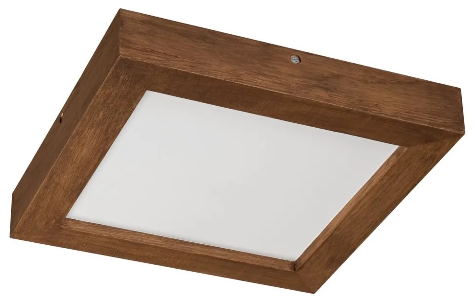 Brilagi-Ściemnialne oświetlenie LED WOODY FRAME LED/24W/230V dąb 30x30 cm IP44 + pilot