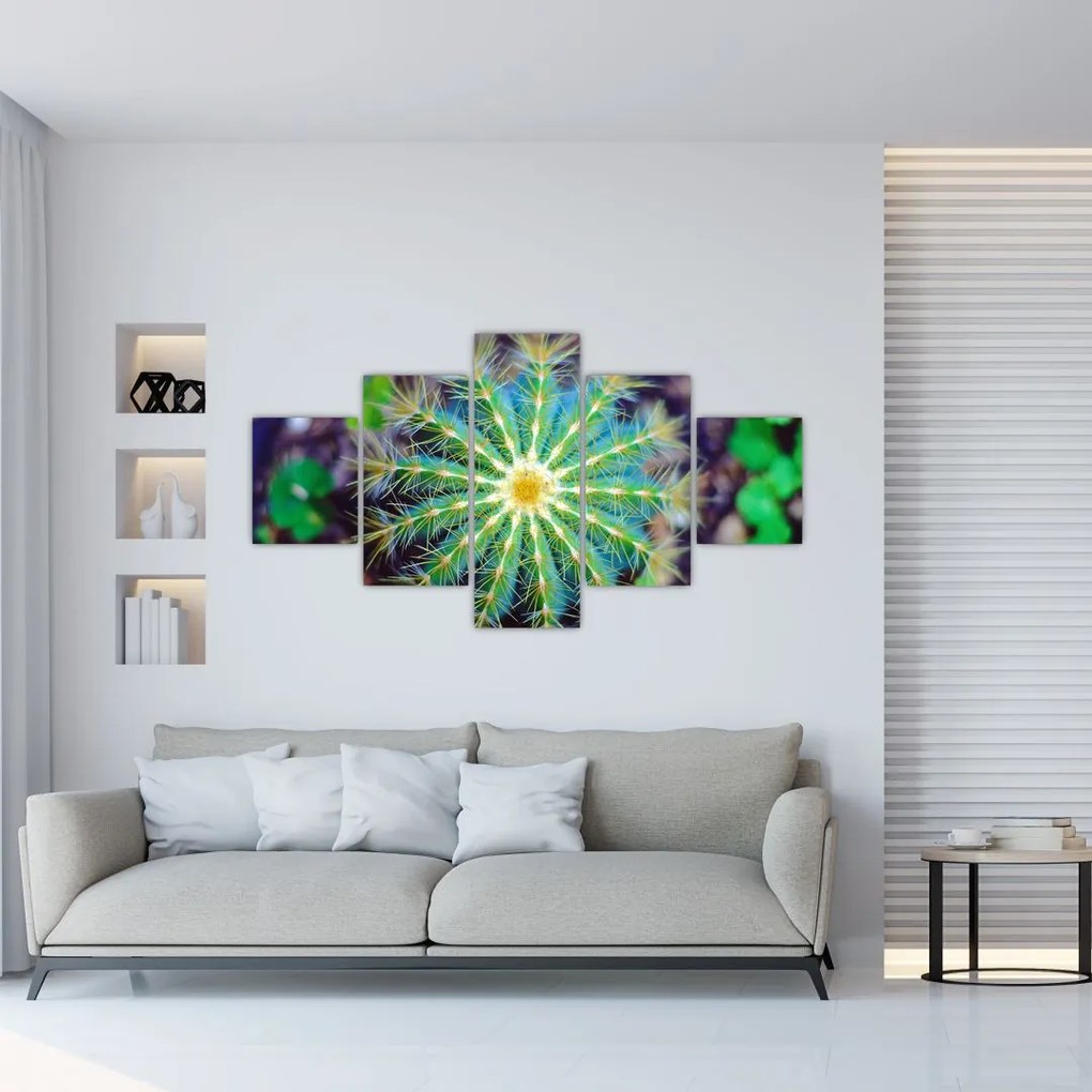 Obraz kaktusa (125x70 cm)