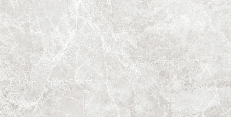 Mexen Lizard Silver gres szkliwiony rekt. G1, płytka podłogowo-ścienna 120 x 60 cm, połysk - TL109-120-060-03