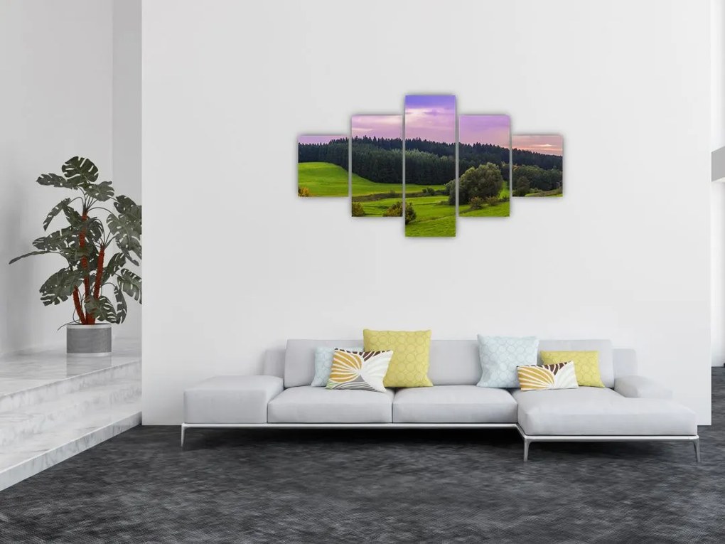 Obraz łąki (125x70 cm)