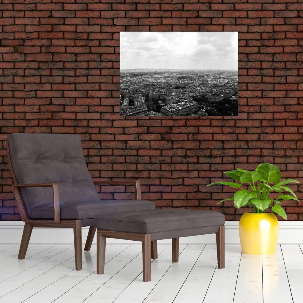 Obraz - Dachy domów w Paryżu (70x50 cm)