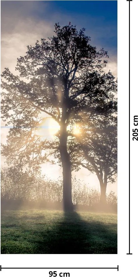 Fototapeta na drzwi - Drzewo we mgle (95x205cm)