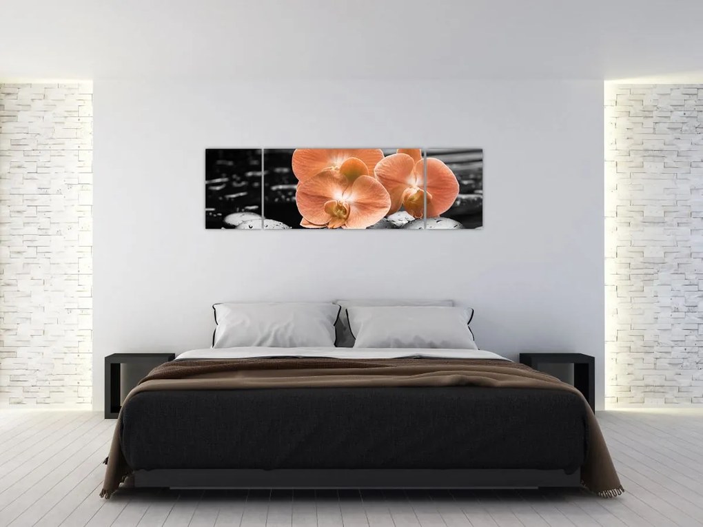 Obraz - Pomarańczowe orchidee (170x50 cm)