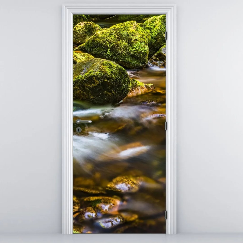 Fototapeta na drzwi - Strumień (95x205cm)