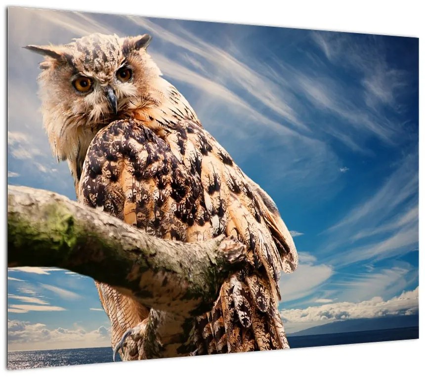Obraz na szkle - sowa (70x50 cm)