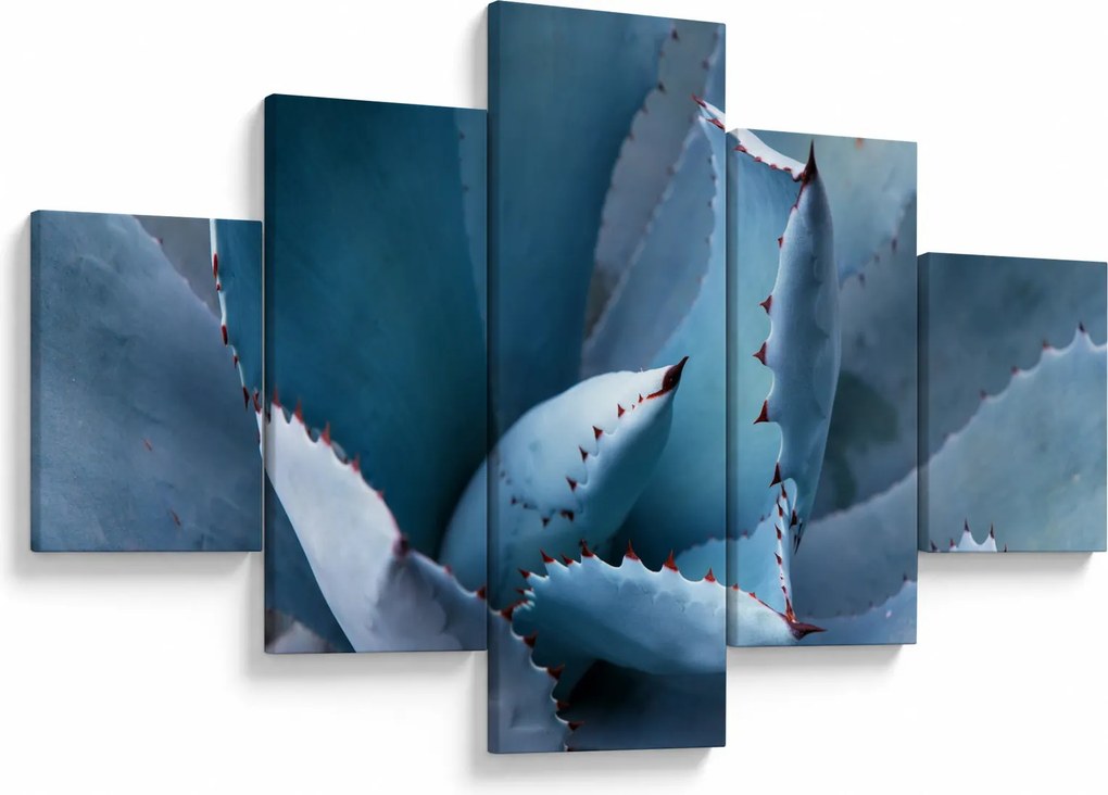 Obraz - Agawa (125x70 cm)