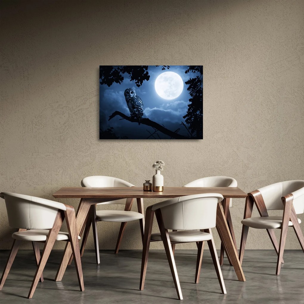 Obraz na szkle - Nocna Sowa (70x50 cm)