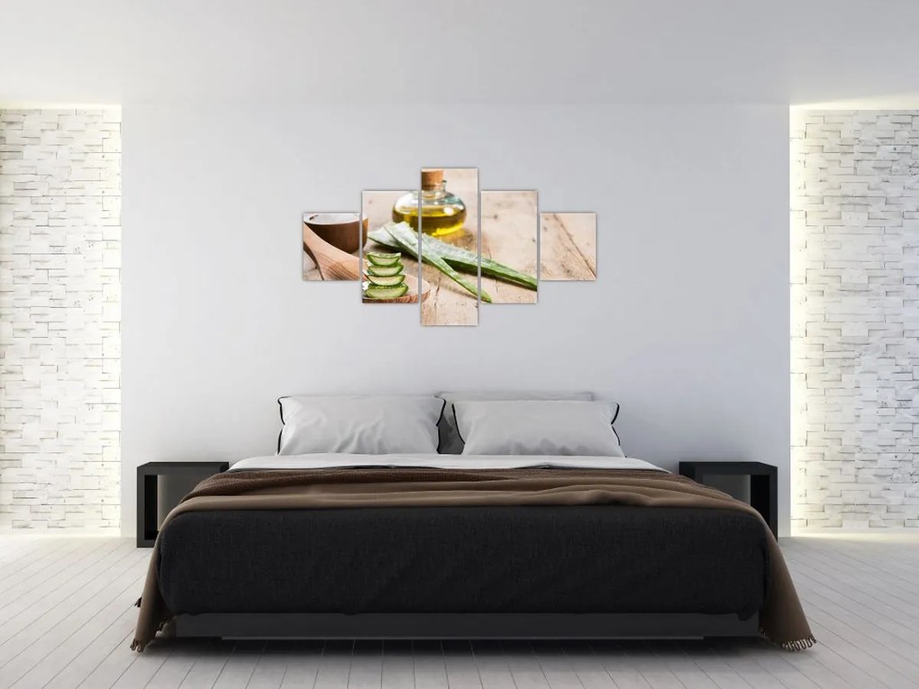 Obraz - Aloes (125x70 cm)