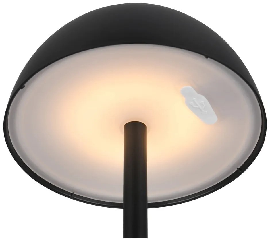 Lampa zewnętrzna ze ściemniaczem ø 13,5 cm Ricardo – Trio