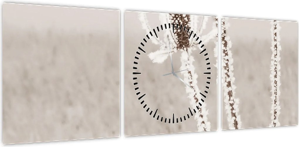 Obraz - Oset w zimie (z zegarem) (90x30 cm)
