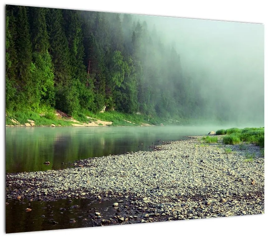 Obraz - rzeka przy lesie (70x50 cm)