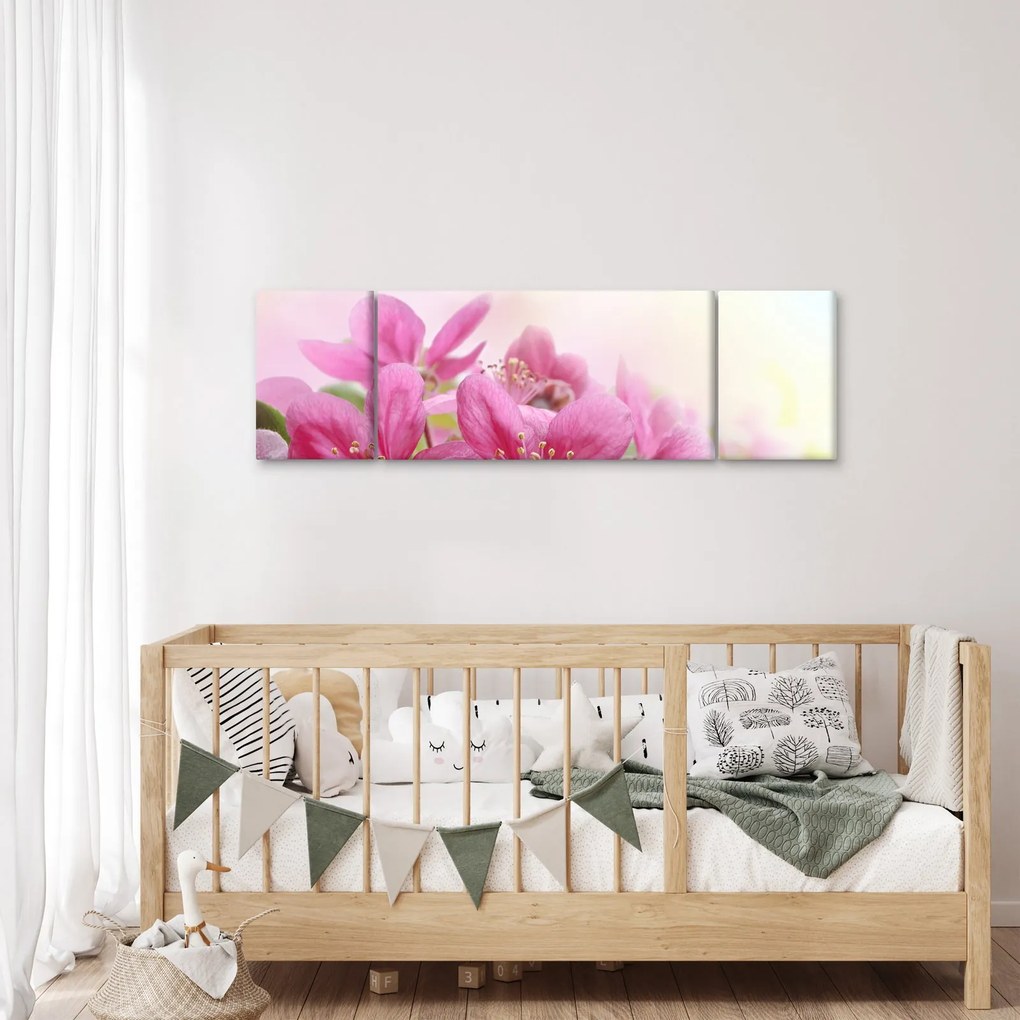 Obraz - Różowe kwiaty (170x50 cm)